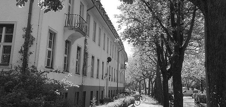 Otto-Suhr-Institut - Frühling in der Ihnestraße 22